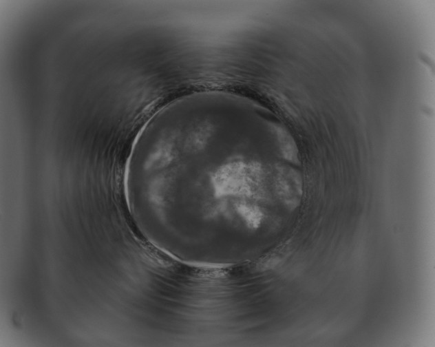 X0000091490576200709131833