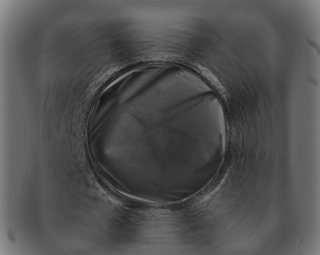 X0000091490577200709131832