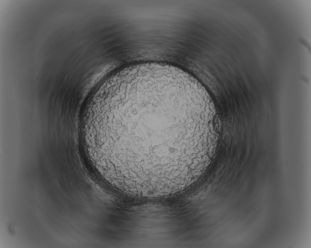 X0000091490578200709131832