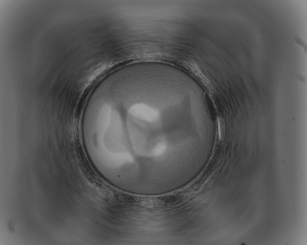 X0000091490579200709131832