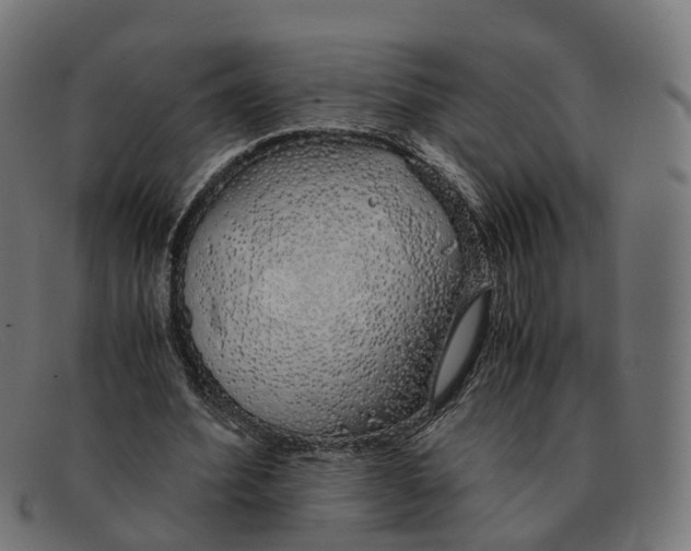 X0000091490580200709131832