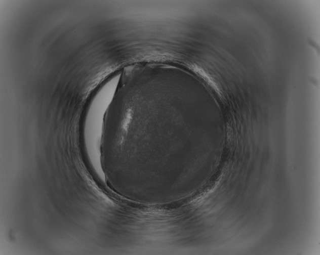 X0000091490581200709131832