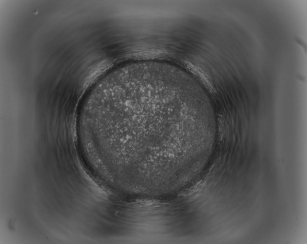X0000091490582200709131832