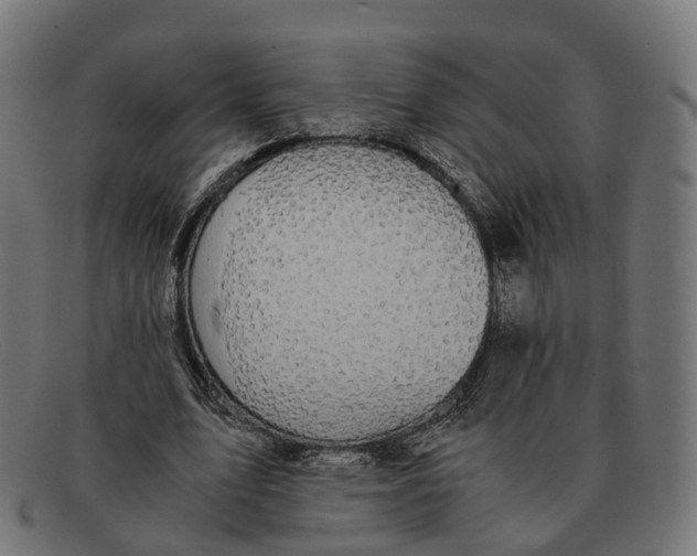 X0000091490583200709131832