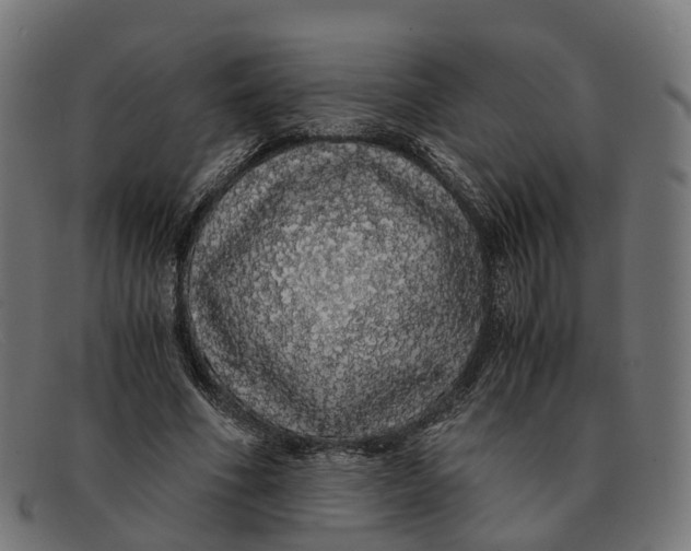 X0000091490586200709131832