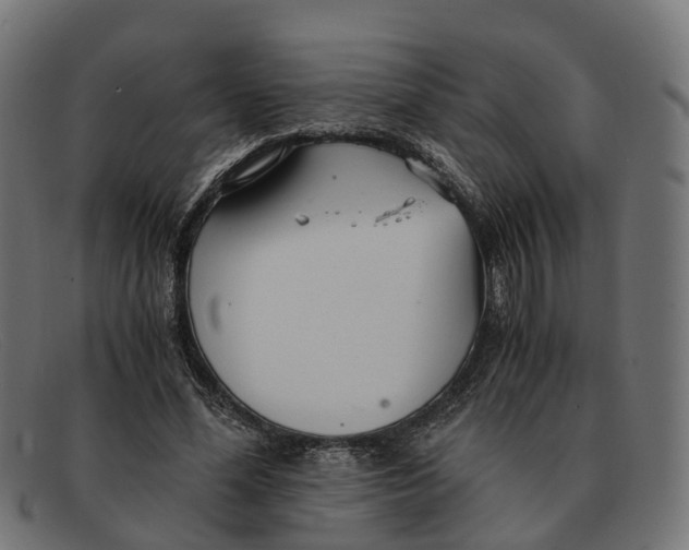 X0000091490588200709131832