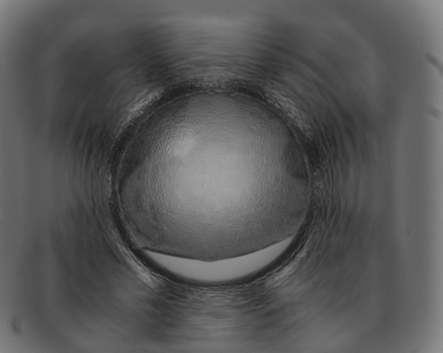 X0000091490589200709131832