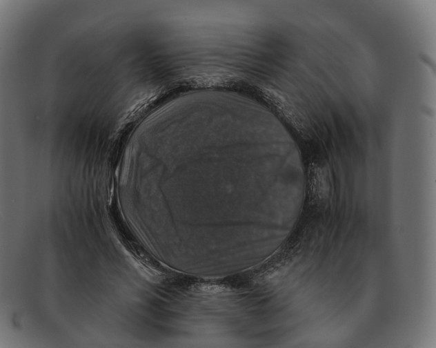 X0000091490590200709131832