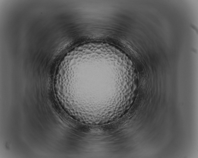 X0000091490591200709131832
