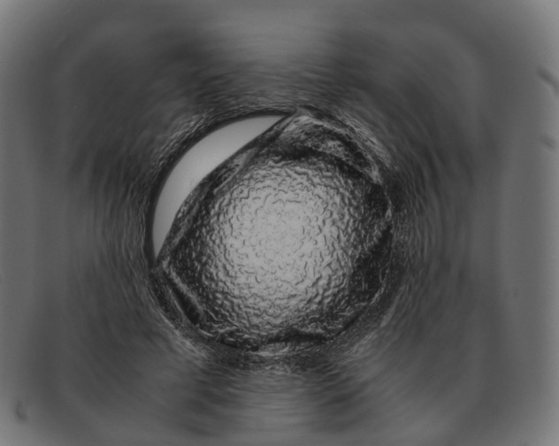 X0000091490593200709131832
