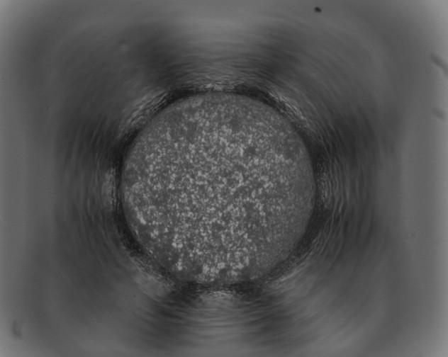 X0000091490594200709131832