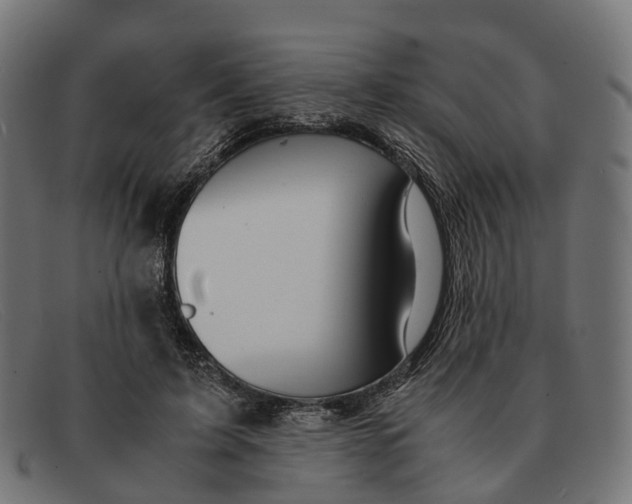 X0000091490595200709131832