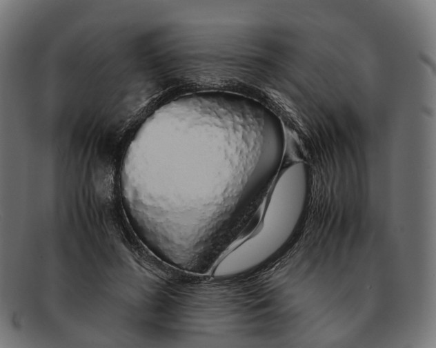 X0000091490596200709131832