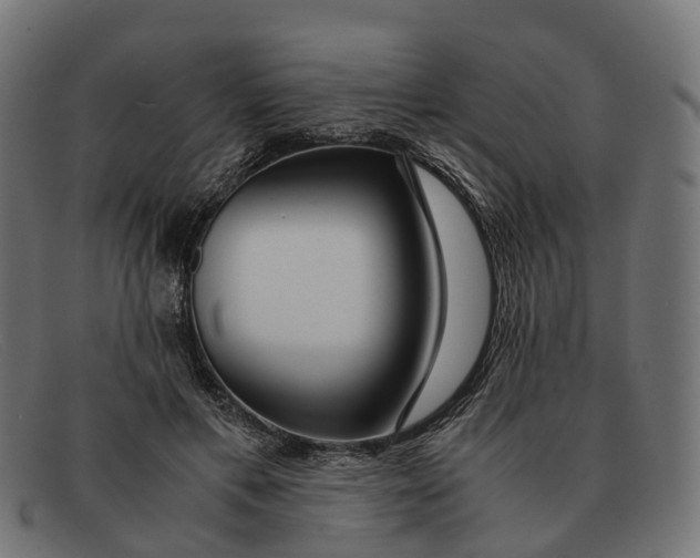 X0000091490597200709131832