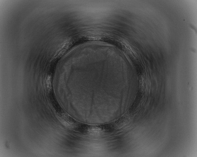 X0000091490598200709131832