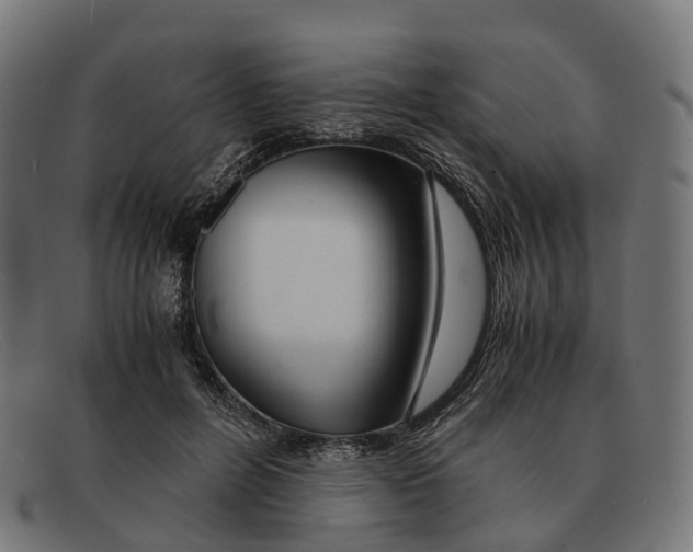 X0000091490600200709131832