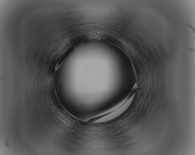 X0000091490601200709131832