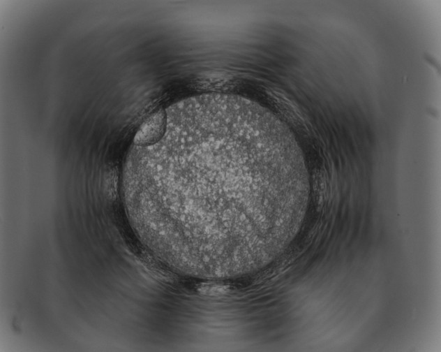X0000091490602200709131832