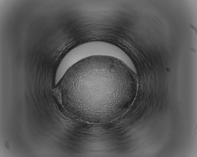 X0000091490604200709131832