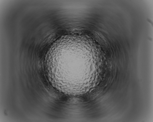 X0000091490607200709131832