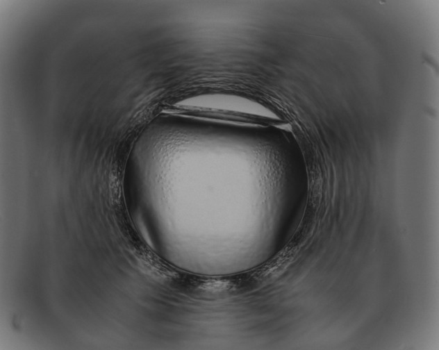 X0000091490609200709131832
