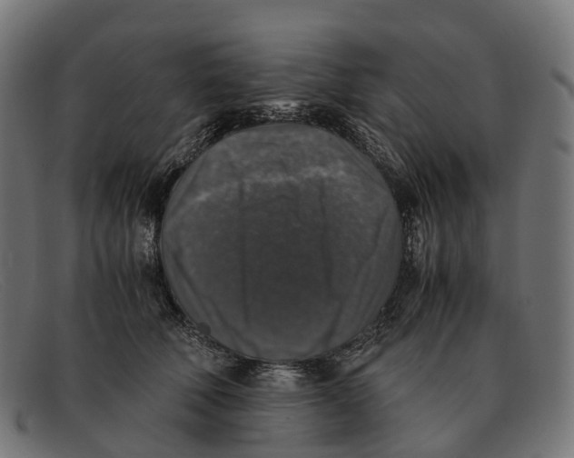 X0000091490610200709131832