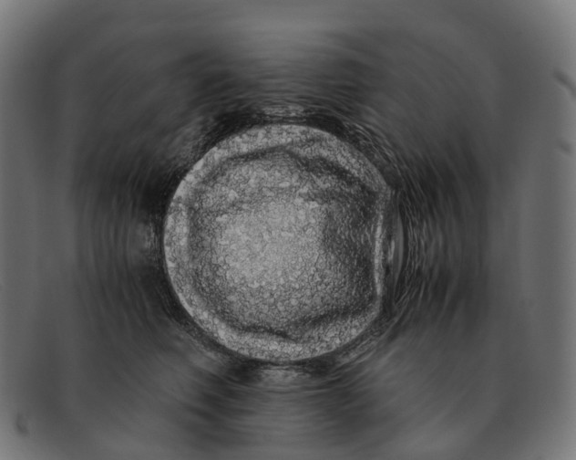 X0000091490614200709131832
