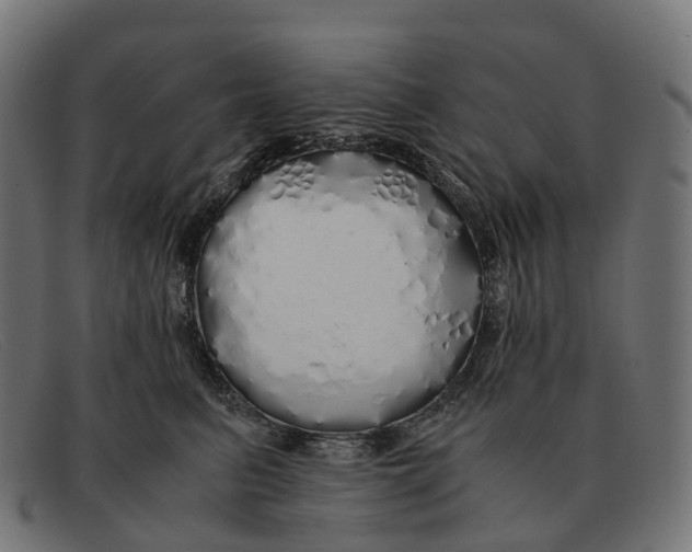 X0000091490615200709131832