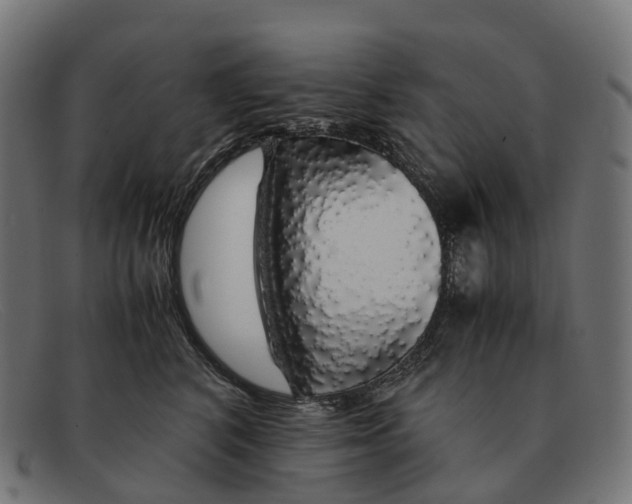 X0000091490616200709131832