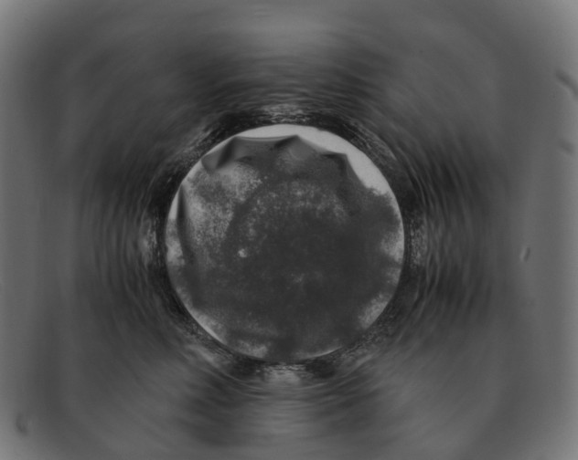 X0000091490618200709131832