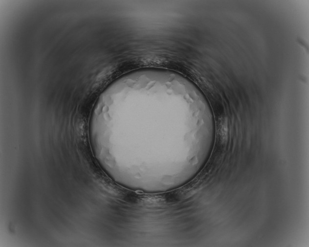 X0000091490619200709131832