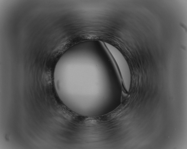 X0000091490620200709131832