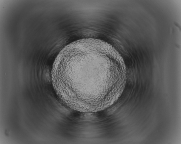 X0000091490622200709131832