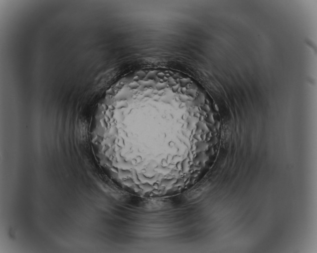 X0000091490623200709131832