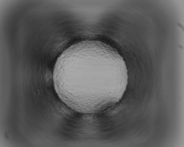 X0000091490624200709131832