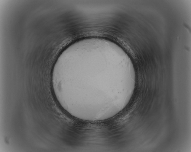 X0000091490625200709131831