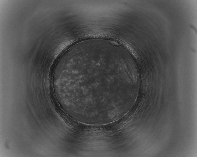X0000091490626200709131831