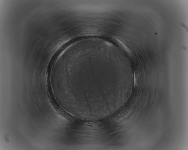 X0000091490627200709131831
