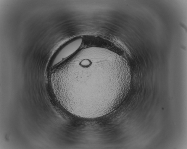 X0000091490628200709131831