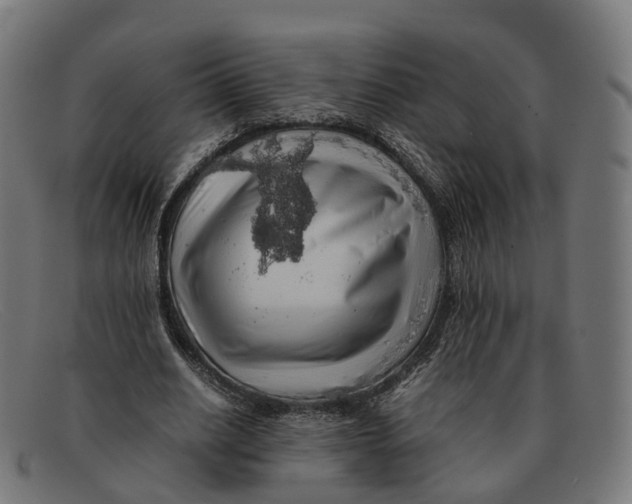 X0000091490630200709131831
