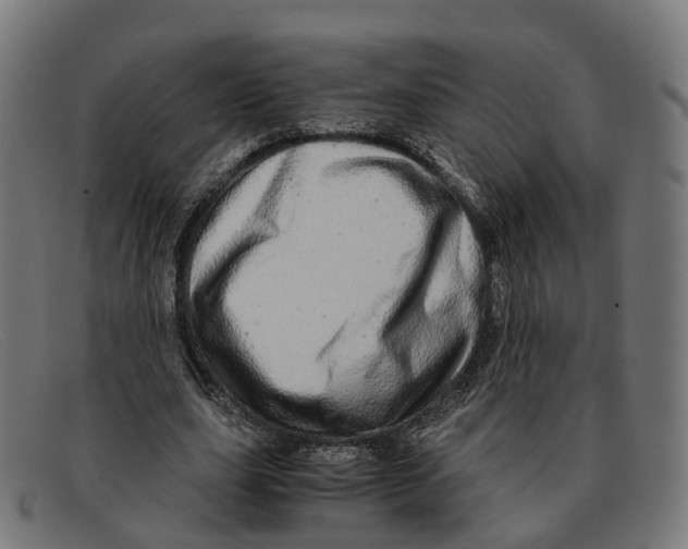 X0000091490631200709131831