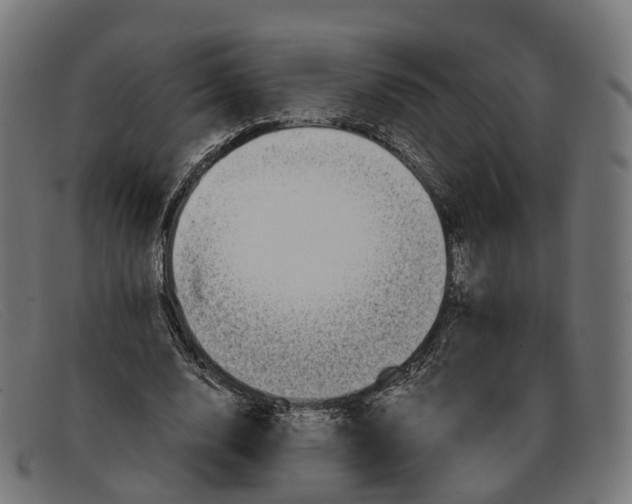 X0000091490632200709131831