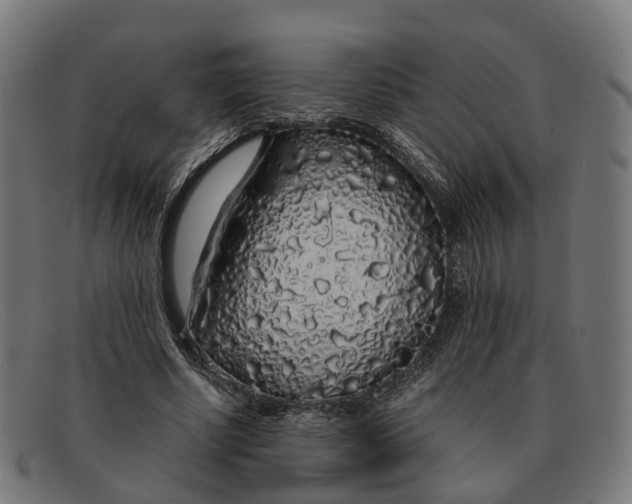 X0000091490634200709131831