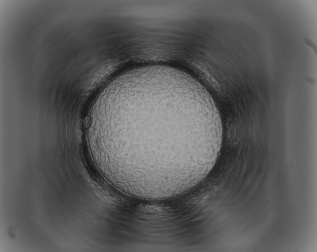X0000091490635200709131831