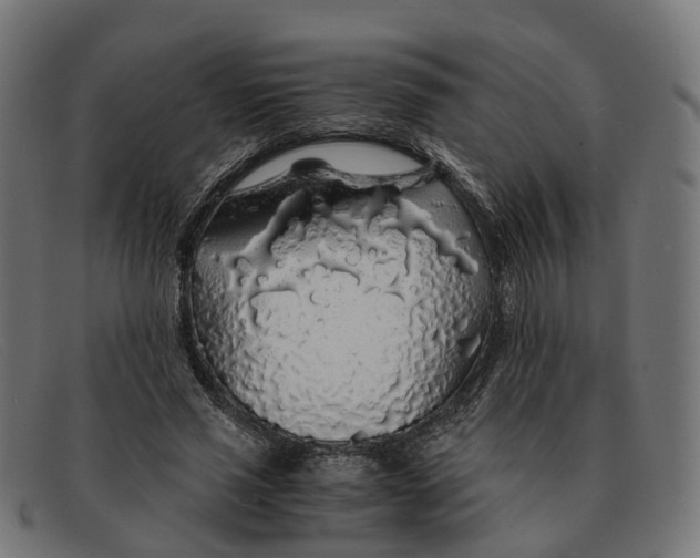 X0000091490637200709131831