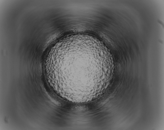 X0000091490638200709131831