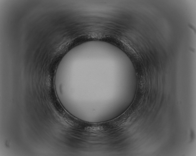 X0000091490639200709131831