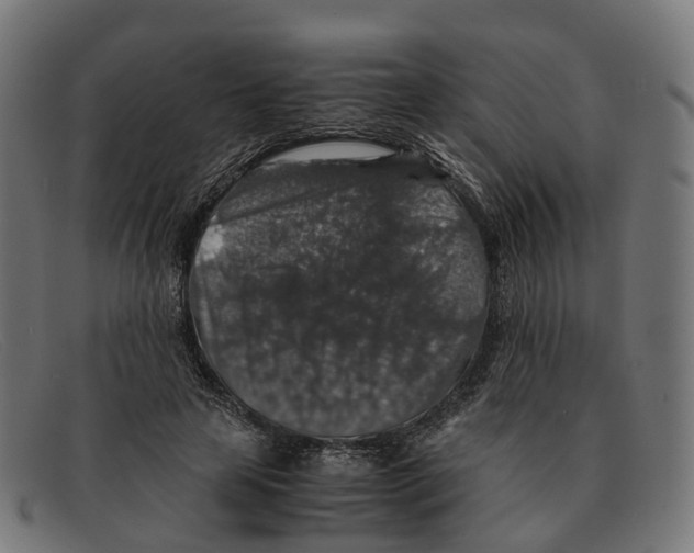 X0000091490641200709131831