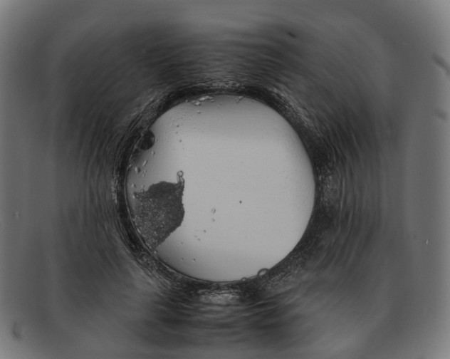 X0000091490643200709131831