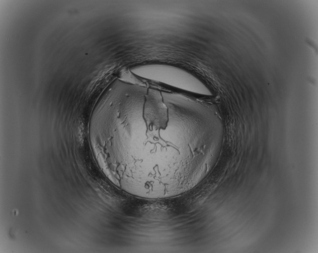X0000091490644200709131831